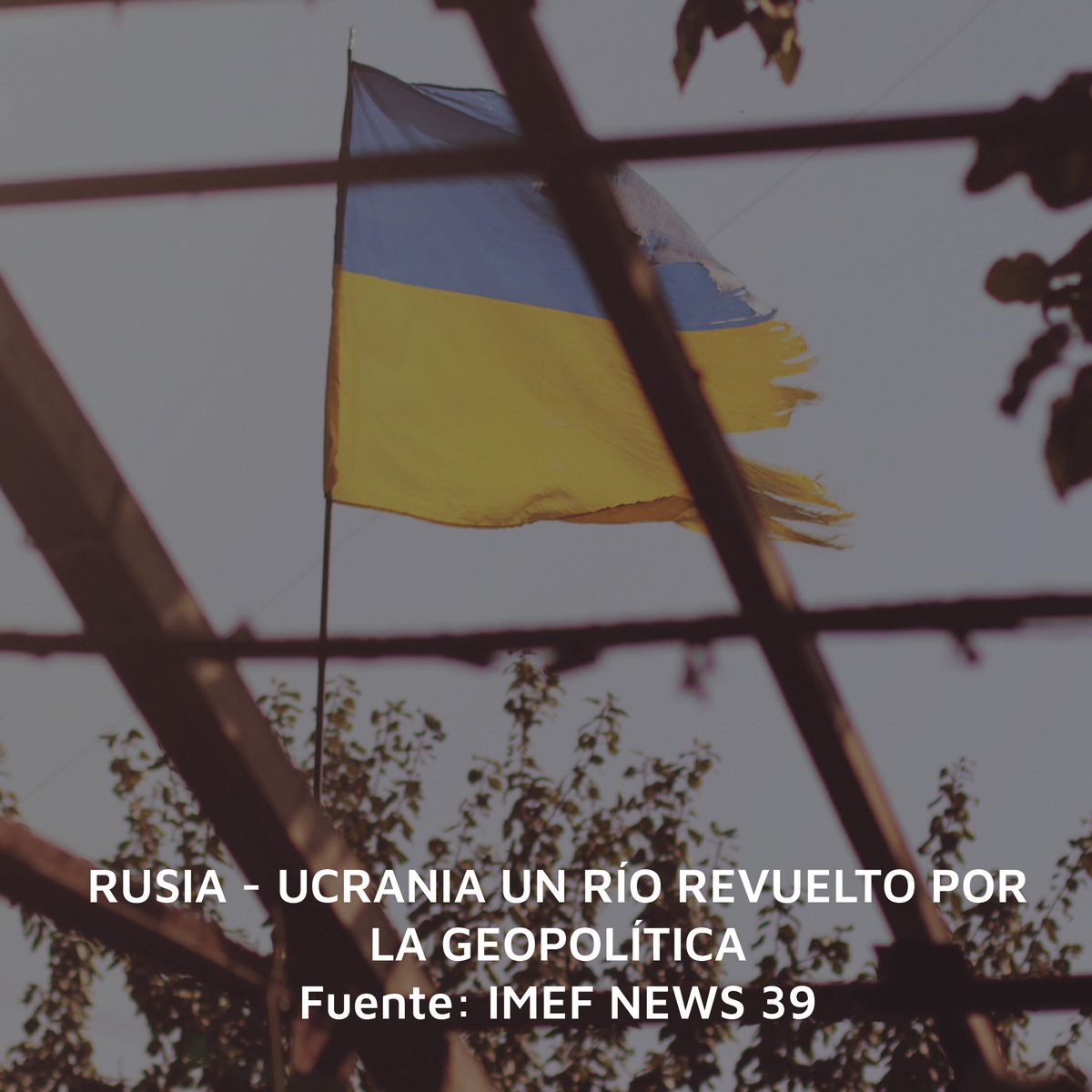 imefqueretaro's tweet photo. El mayor ataque contra un Estado europeo desde la Segunda Guerra Mundial ha ocasionado que cerca de 100 mil ucranianos huyeran de sus hogares hacia Moldavia, Rumanía, Hungría, Polonia y República Checa.

Consulta en: https://t.co/e2GDRxaMEY
#IMEF #Finanzas #Financiero https://t.co/OJPGlVhgXT