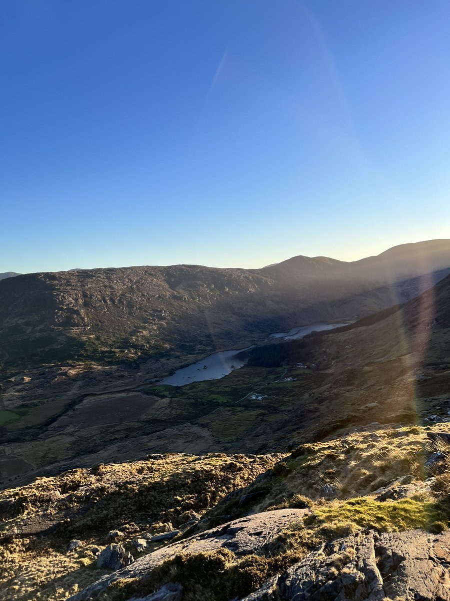 LittleBigAdventures tweet media