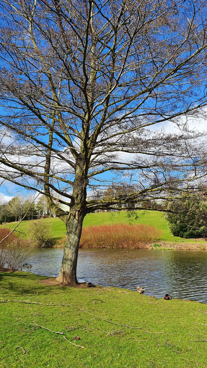 tracyharrison8's tweet photo. My mindfulness lunchtime moment today ๐ great spot for a quick pit stop whilst out and about ๐ฉโโ๏ธโค๐ฆ #jbclakes #Rocester https://t.co/qb0LTq1sVQ