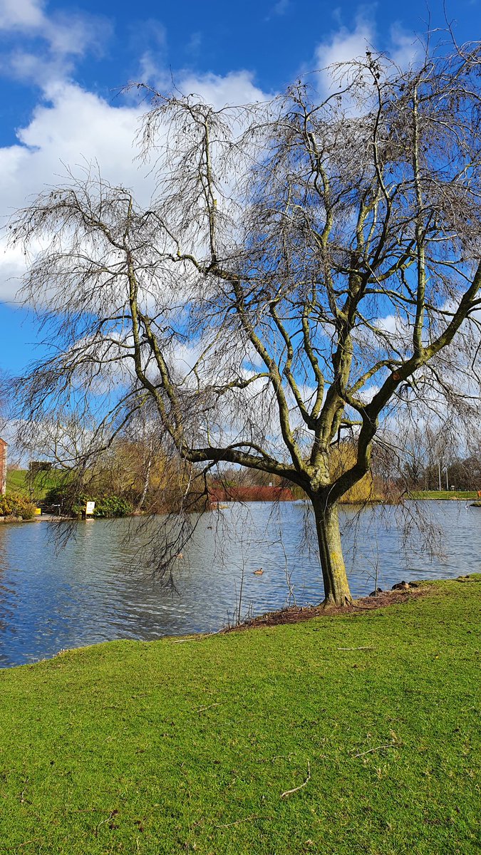 tracyharrison8's tweet photo. My mindfulness lunchtime moment today ๐ great spot for a quick pit stop whilst out and about ๐ฉโโ๏ธโค๐ฆ #jbclakes #Rocester https://t.co/qb0LTq1sVQ