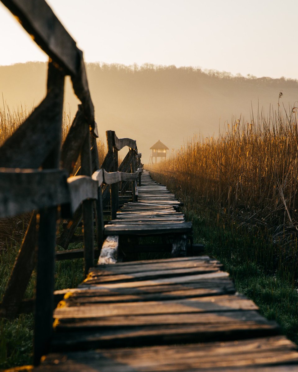 🇺🇦 #Prints4Ukraine Print sale to support the Ukrainian people.

💰 100% of the proceeds will be donated to <a href="/WCKitchen/">World Central Kitchen</a> 

📸 I’ve joined the initiative with an image from my “Fields of Gold” series shot in Sic, #Transylvania 

📌 prints4ukraine.darkroom.tech