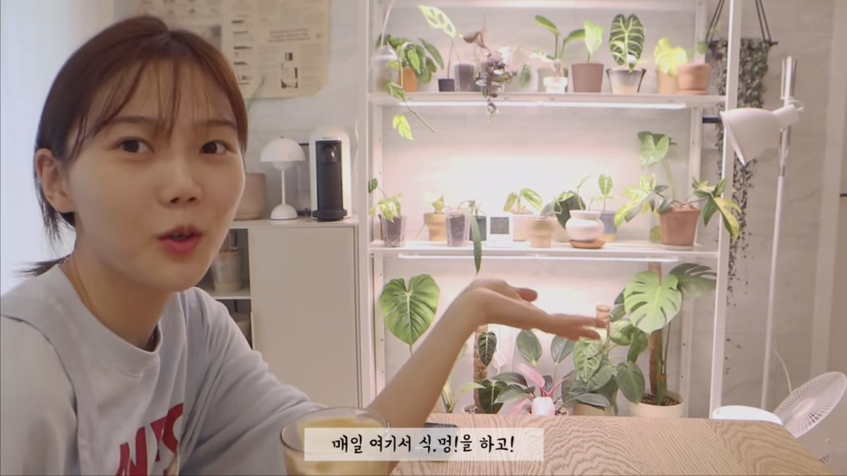 아니 근데 효정리다 아보카도 하나 키우다가 반년만에 식물선반 생긴거 왤케 식덕의 흔한 루트같고 웃기냐