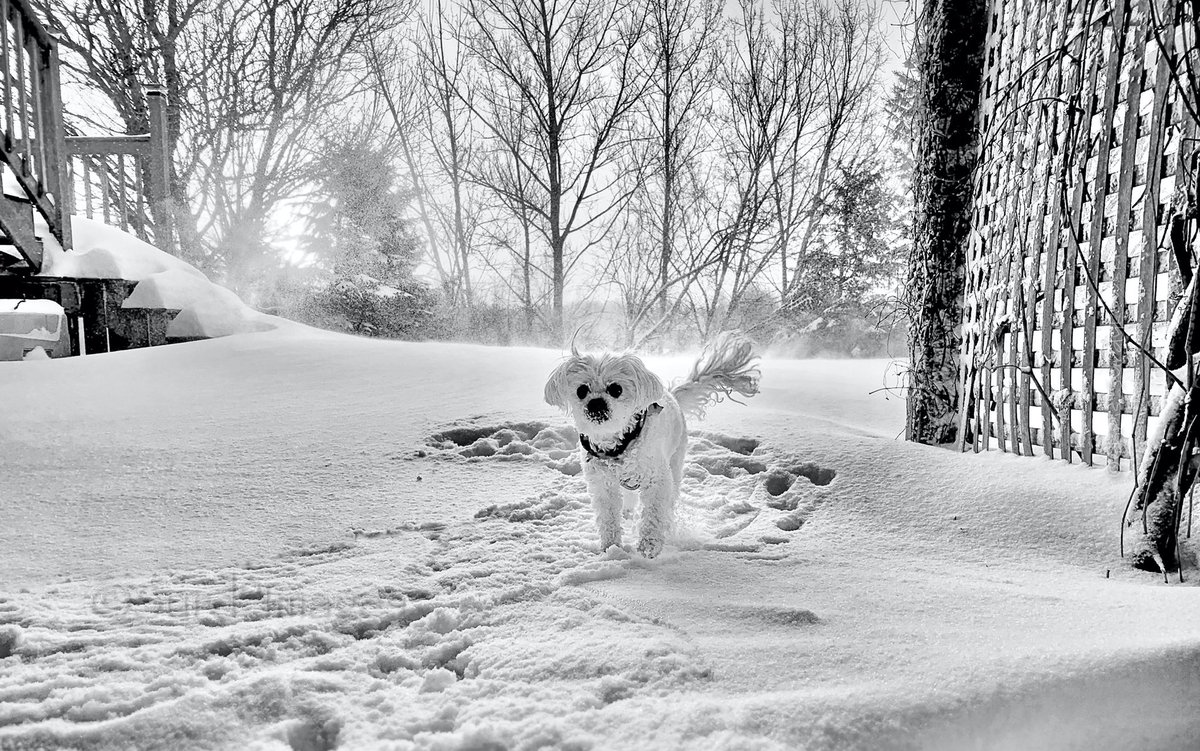 Lucykowski's tweet photo. C’mon… let me in so I can has a tequila! https://t.co/DUur2MipQO