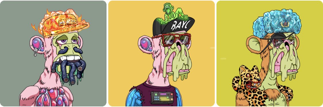 Jcohen08's tweet photo. @BoredClint @BoredApeYC @harrislipton93 https://t.co/VnKGzsG3Bq