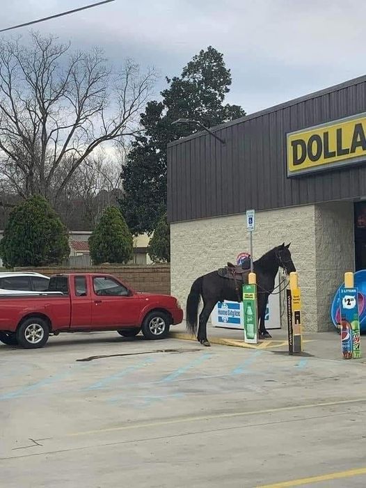 Someone in Kentucky really said: "Gas prices are too high. Honey, saddle up the horse." 😂🐎
(📷: Sharon Mills)