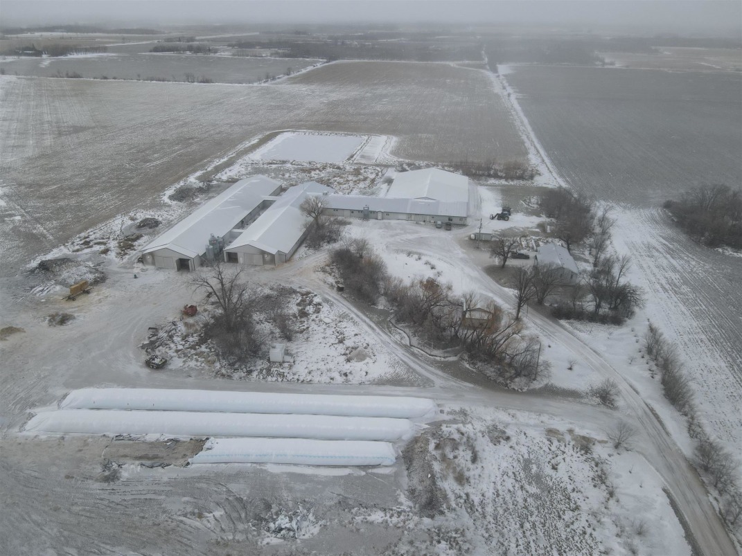 *RARE FIND, QUALITY LAND* DAIRY FARM FOR SALE!
farmmarketer.com/listing/fm/144…

Farm Type: Dairy
Acreage (Total): 210 
Province: Manitoba
Agent: Sheldon Froese

#Findyourdreamproperty #cattlefarming #cattle #dairyfarm #dairyfarmersofcanada #proudlycanadian #canadianmilk  #canadiandairy