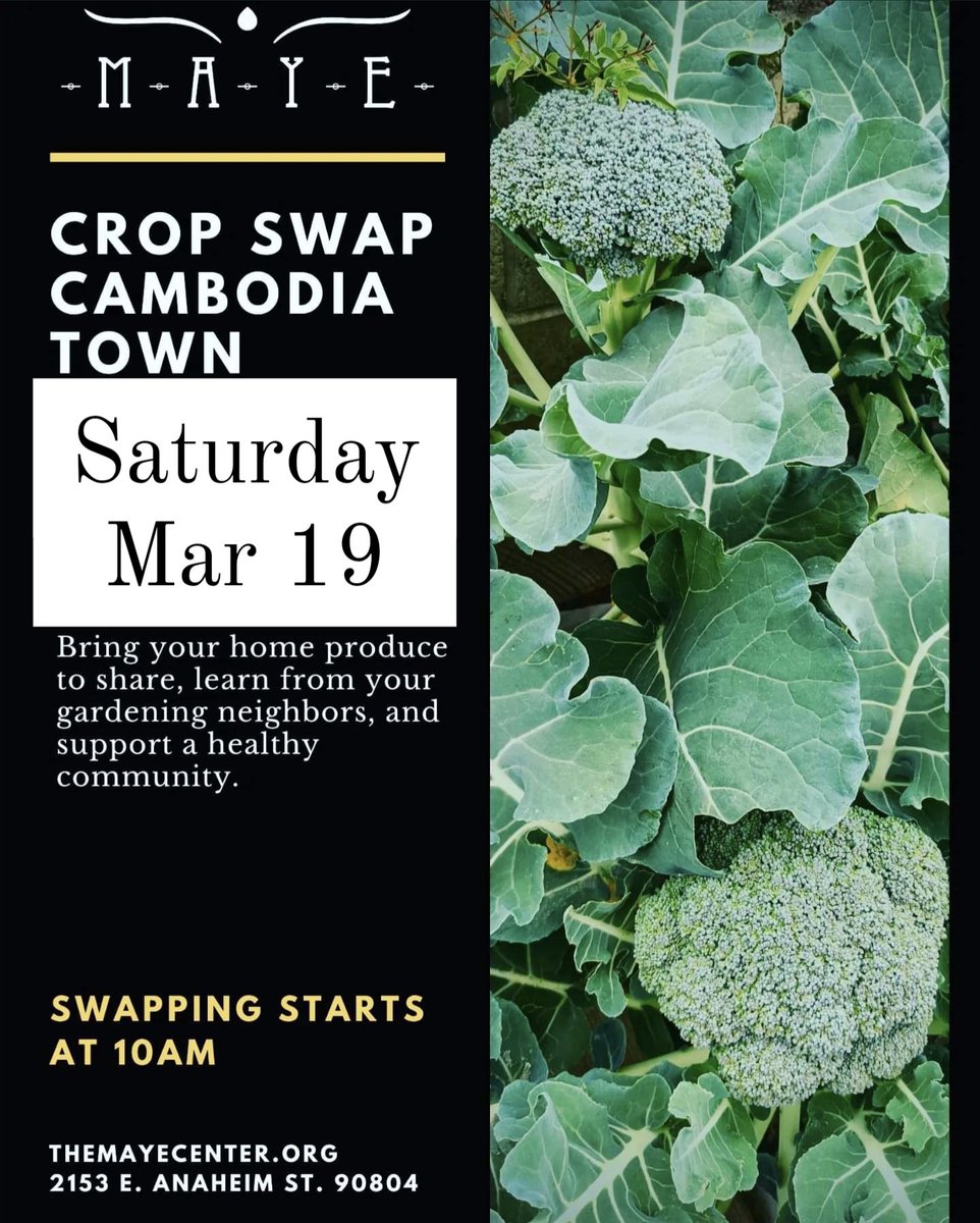 LongBeachFresh's tweet photo. With so many crop swaps in the LBC... Seriously though, even if you're not harvesting anything this week, come see what's growing at this incredible community hub in #cambodiatown #longbeach #cropswap https://t.co/1KtgM3Lgac