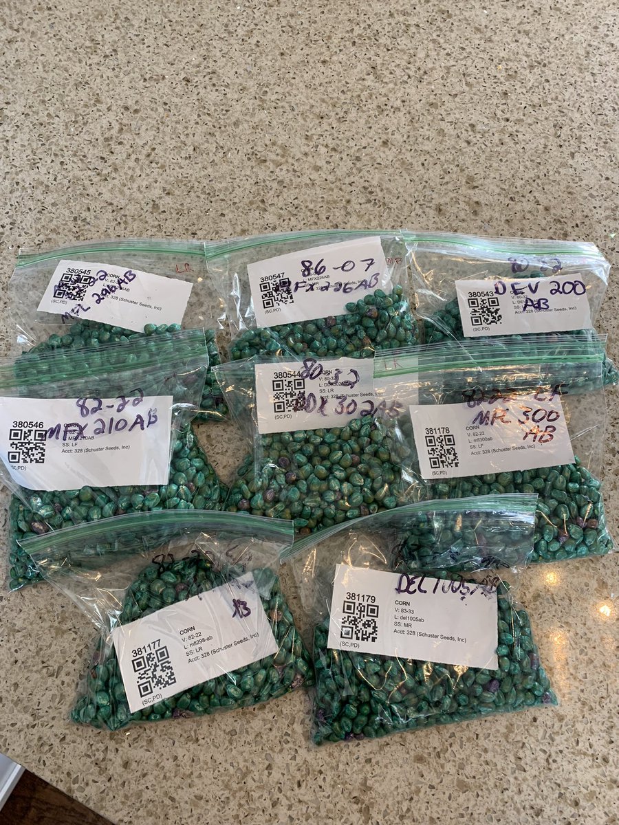 Schuster Seed tweet media