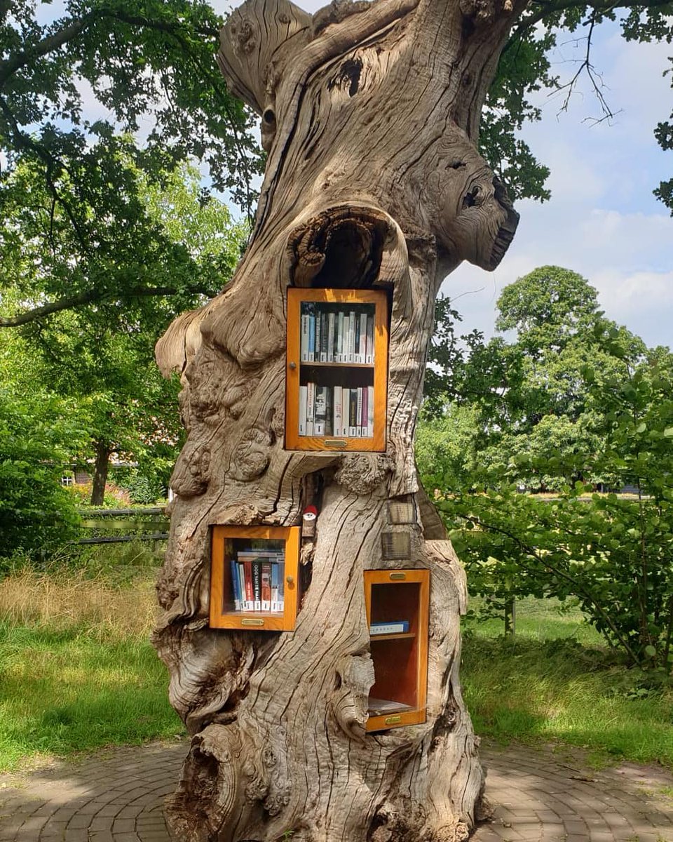 oprahsbookclub's tweet photo. A beautiful tree with a library inside? This is right up our alley. What book would you leave for your neighbors in this delightful mini library? #ReadWithUs https://t.co/E8A5JPA8iZ