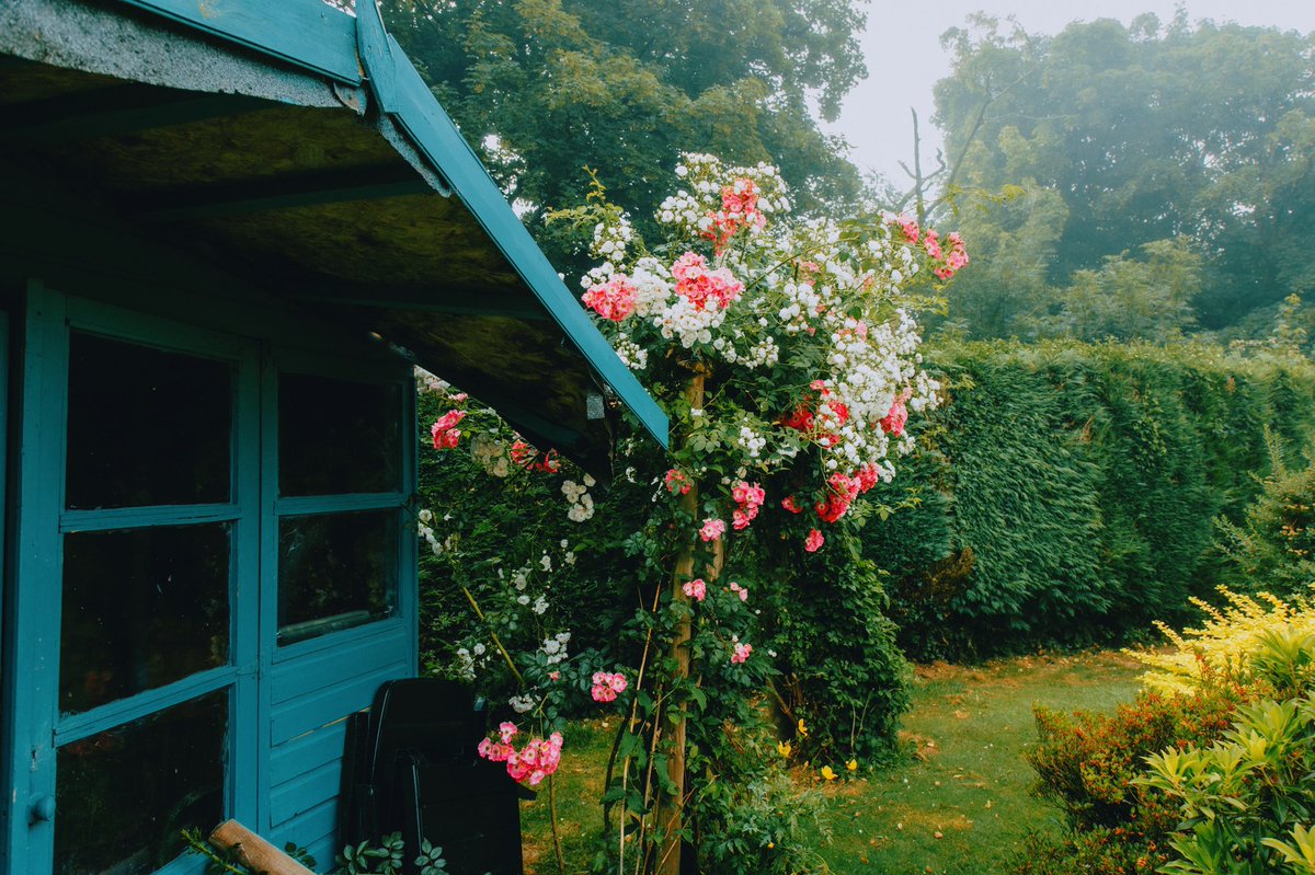 DanielCasson1's tweet photo. Water Garden Cottage 🍃 // https://t.co/iArQNCGbn3