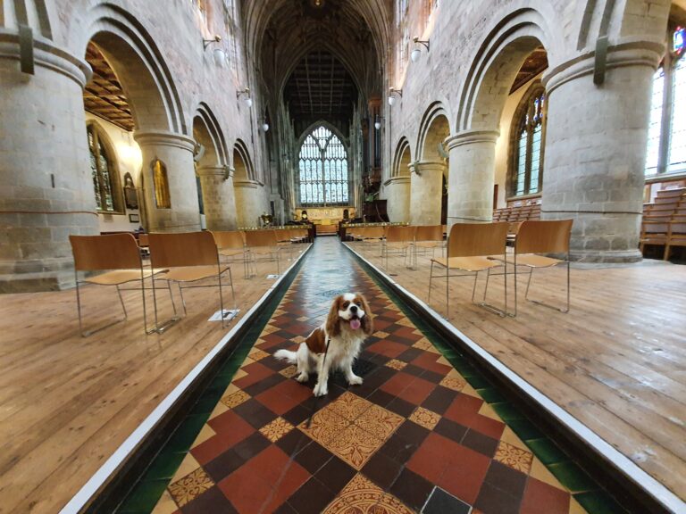 RJonTourUK tweet media