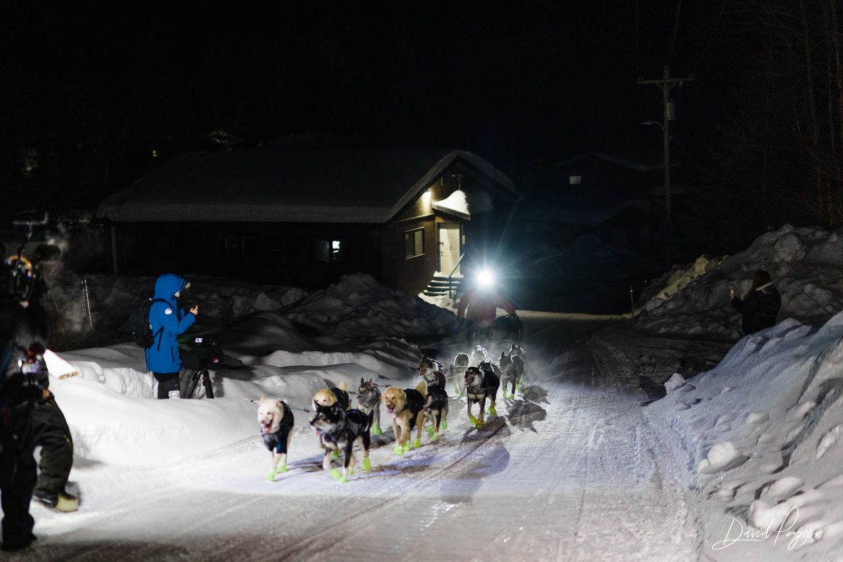 The_Iditarod's tweet photo. Veteran musher Brent Sass (bib #27) , was the first musher to the White Mountain checkpoint today at 11:05 a.m. with 12 dogs. Sass receives a $2,500 check, a special trophy,  and new this year, Northrim will also donate $1,500 to the community of White Mountain in honor of Sass. https://t.co/2260V9JJKb
