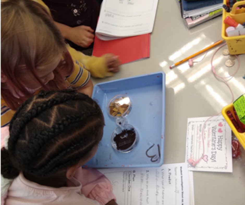 CarolinaBio's tweet photo. Oh what fun! Thank you to Mrs. Jeannette Santiago Claudio, 2nd grade teacher at @ValleVistaElem with @HemetUnified for these images of her little explorers!

Building Blocks of Science Ecosystem Diversity kit! 
Learn more: https://t.co/xrinaP8teL

#stem #buildingblocksofscience https://t.co/kIRSIpN98z