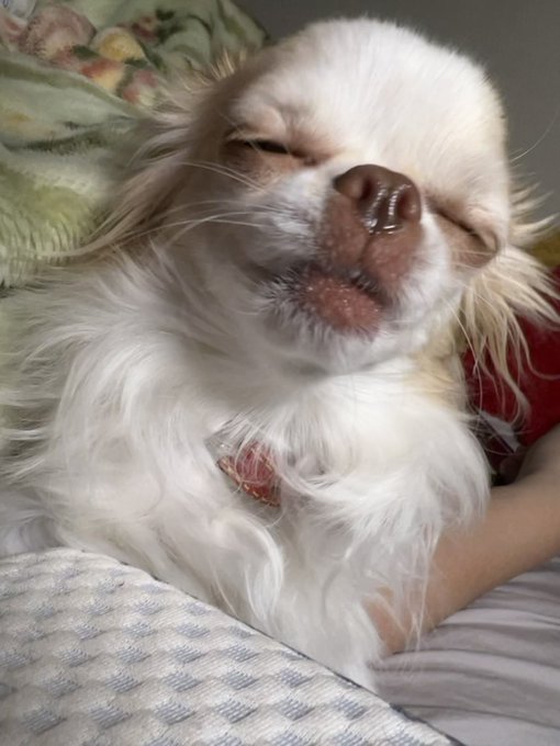 目が開かないのtwitterイラスト検索結果