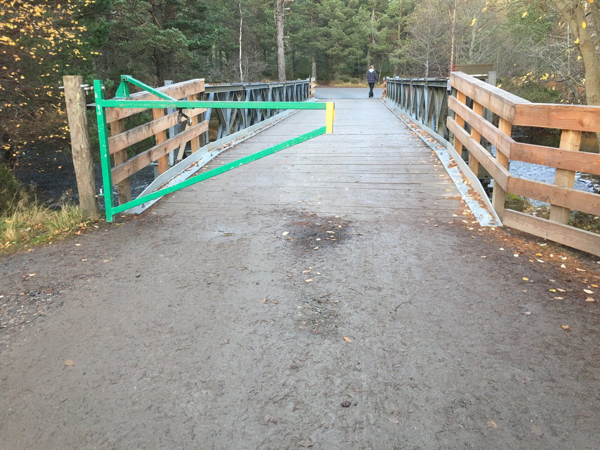 Linda Bamford (she/her) 🇪🇺🏴🌈👩🦽 tweet media