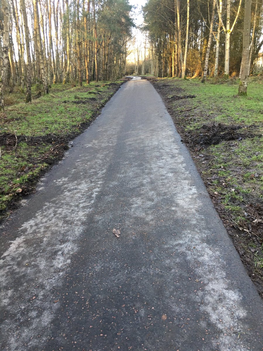 Linda Bamford (she/her) 🇪🇺🏴🌈👩🦽 tweet media