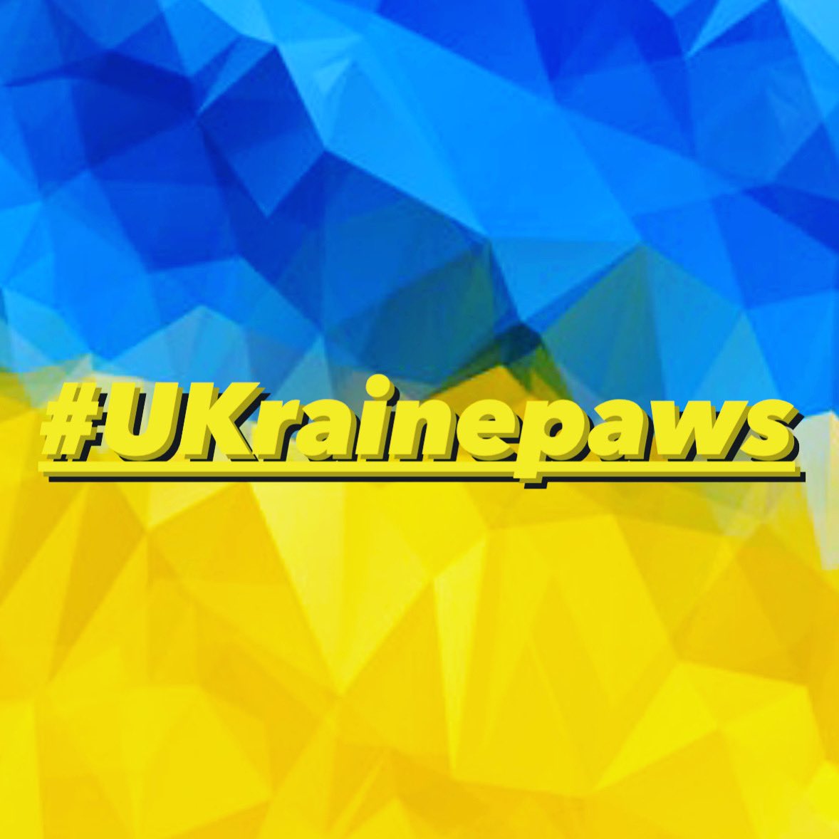 I’m done , I’m dooonnnee , did I say I’m DONE!

12 hours of unpacking, weighing, custom logging , re packing , stacking for the vet vehicle making a trip to the Ukraine border with a team from <a href="/Naturewatch_org/">Naturewatch Foundation</a> .I’m off to bed now 💤 

25 boxes all ready to go! 

Thank YOU! 🧡