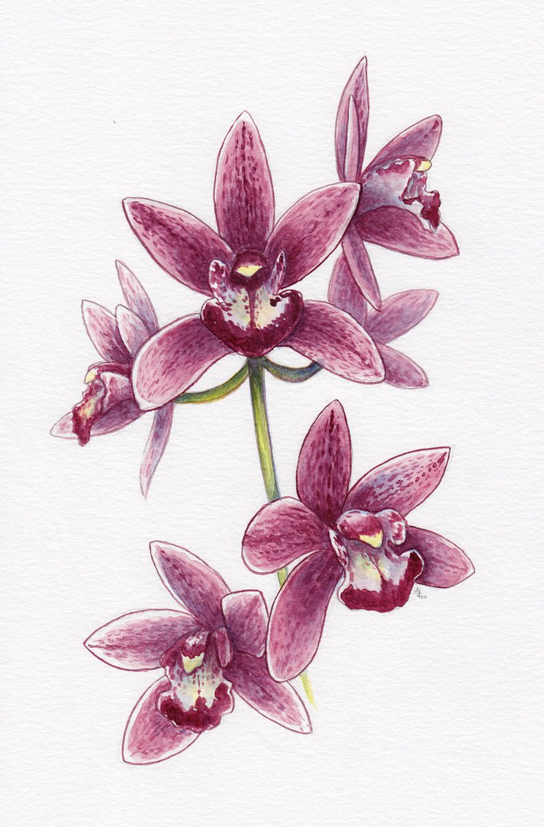 Aron Fitzgerald tweet media