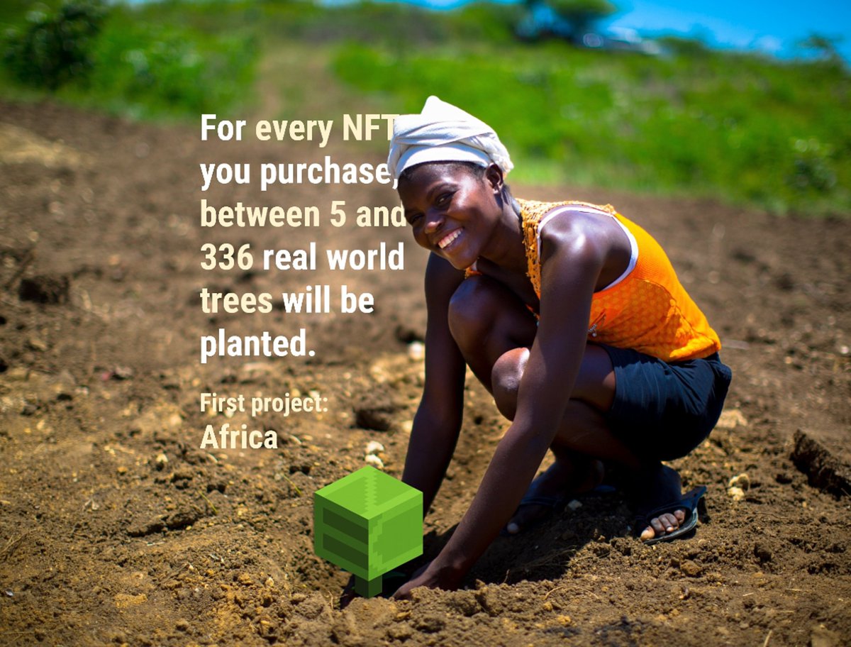 NFTEcocity's tweet photo. For every NFT you purchase, between 5 and 336 real-world trees will be planted.

#nftcollector #nftcommunity #NFTProject #reforestation #Socialimpact #sustainability https://t.co/FptETwdDg1