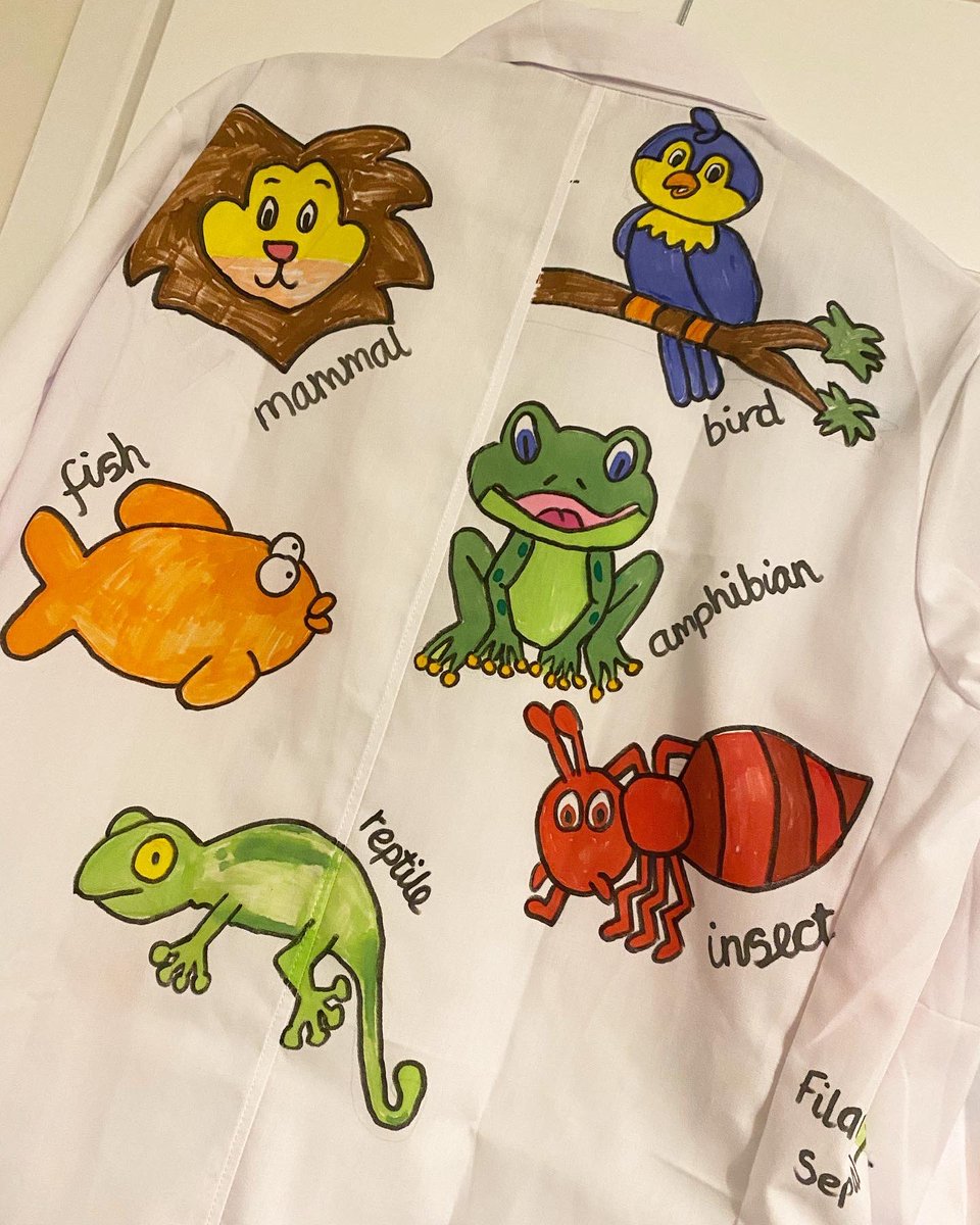 MissHCook's tweet photo. SCIENCE DAY!🥼

As ‘Science Lead’ at my school, I organised a Science Day to celebrate #BritishScienceWeek 

Each child brought in a white shirt to decorate as a lab coat. We covered them in everything we’ve learnt about Science! Here’s my WAGOLL that I showed in assembly!👩🏻‍🔬🧑🏼‍🔬 https://t.co/p69I63nA9e
