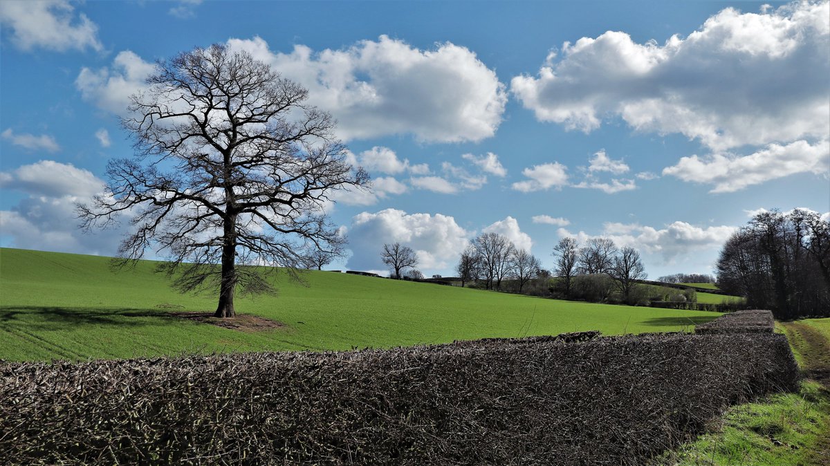 Westcountrywand's tweet photo. Windows XP? No, in #Gloucestershire near #Dymock today while looking for a canal tunnel. #WestcountryWanderings https://t.co/F9ZrH9gj8Z
