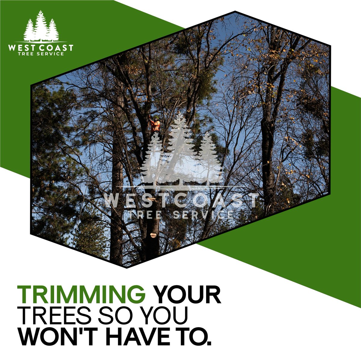 West Coast Tree Service (@westcoast_tree) / Posts / X