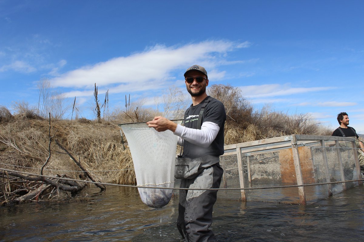 DesLandTrust's tweet photo. Happy #InternationalDayofActionforRivers! Taking action for rivers is what we do!
From reintroducing critical #fishpopulations to #restoring rivers back to their natural shape, we value caring for #CentralOregon rivers just as they care for us.
Continued...
Photos: Land Trust https://t.co/ROtOCRYVgm