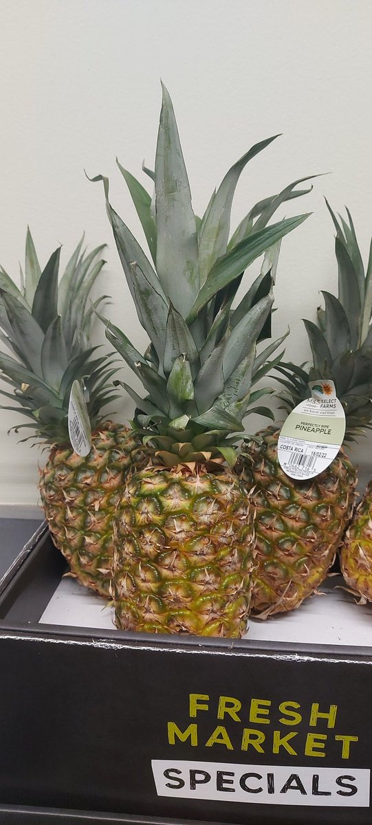kchristokrav's tweet photo. @WatersidePA @NikkiEHDawson @joeldommett Pineapple for the victory... https://t.co/tsRmEbbmJr