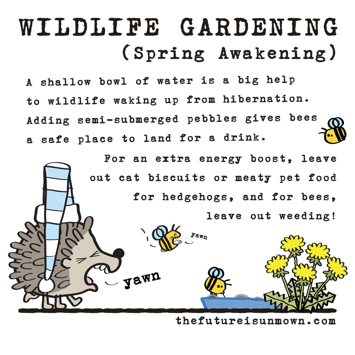 Pickering Hedgehog Rescue tweet media