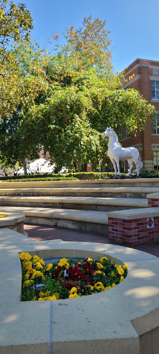 MsHandTeacher's tweet photo. Ms. Hand finds @USC especially gorgeous #LAWint22 @Dawson_School https://t.co/1uBTMcuh3s