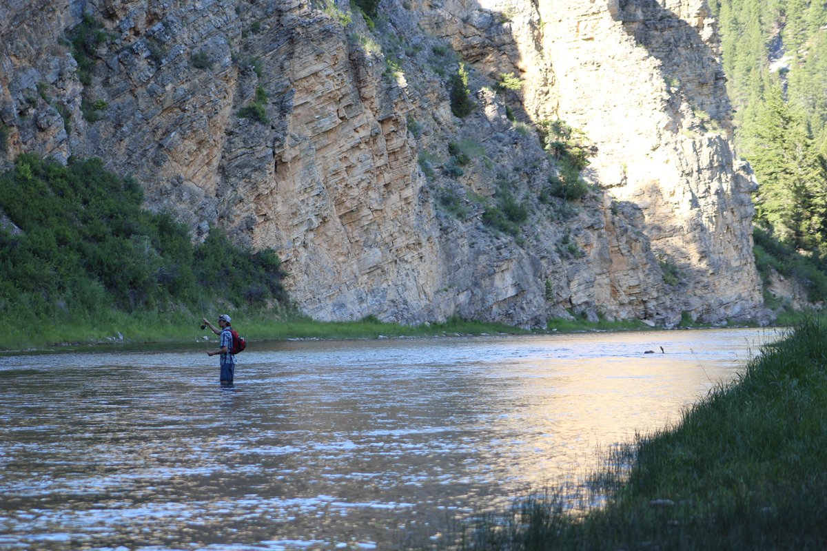 MTConservationVoters tweet media