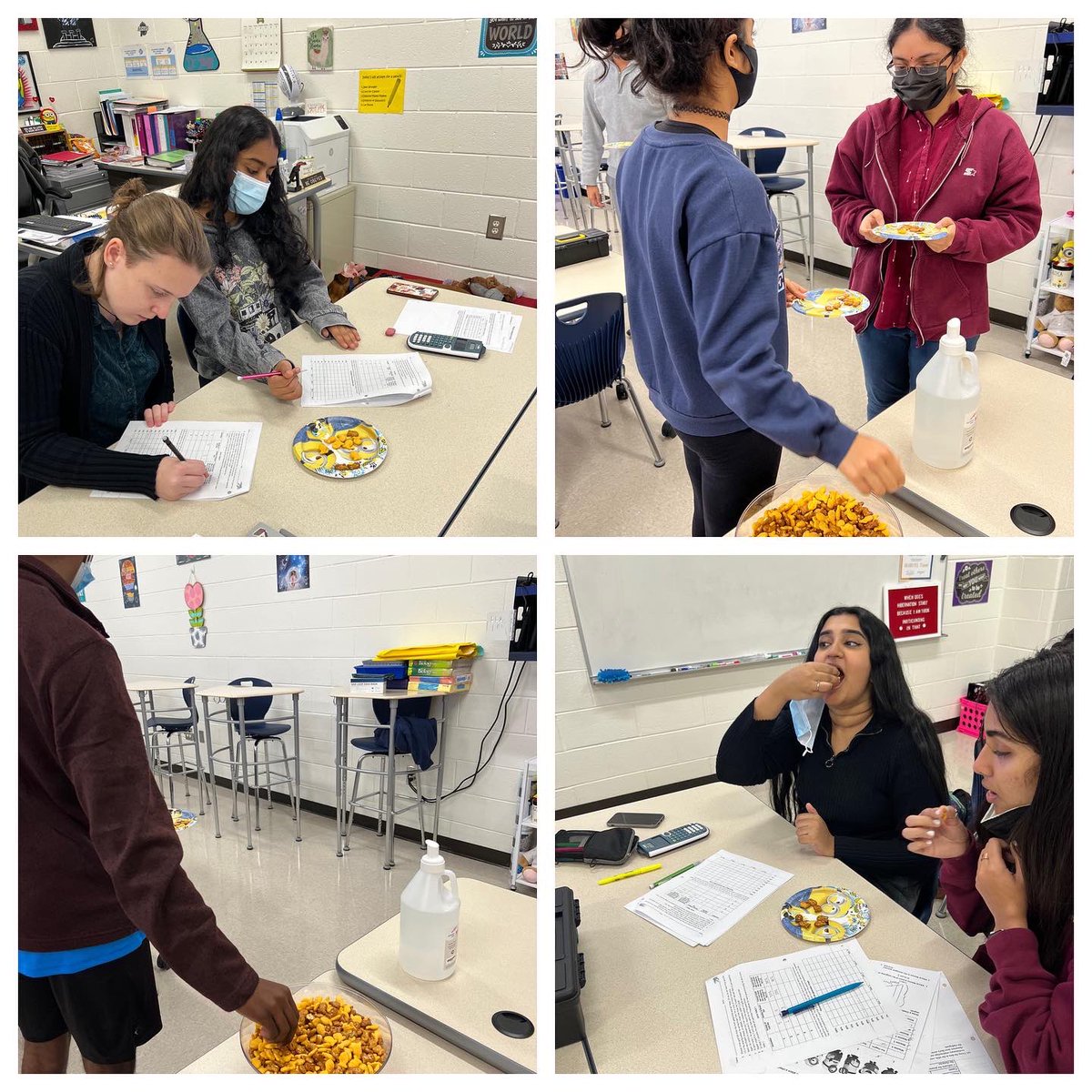 TFY77's tweet photo. AP Biology studied Hardy-Weinberg equilibrium today by fishing for goldfish! 🐠 Luke was hoping to go fishing too 🤣

 #apbiologylab #hardyweinbergequilibrium #lotsofhandsanitizer https://t.co/a2bf7WG1pg