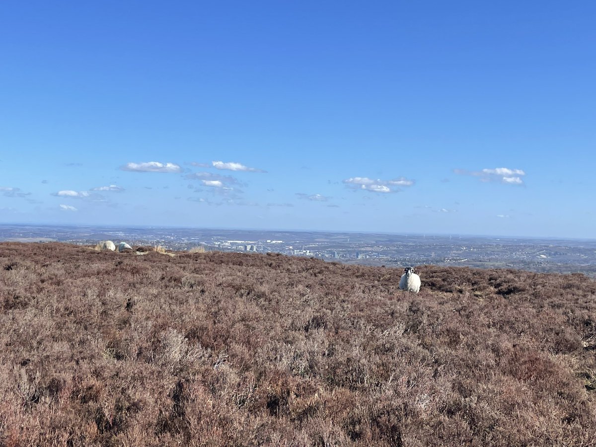 chiaragallo's tweet photo. Sheffield from the Peak District #running #trailrunning #peakdistrict #Sheffield #morningmotivation https://t.co/wYxar253A3