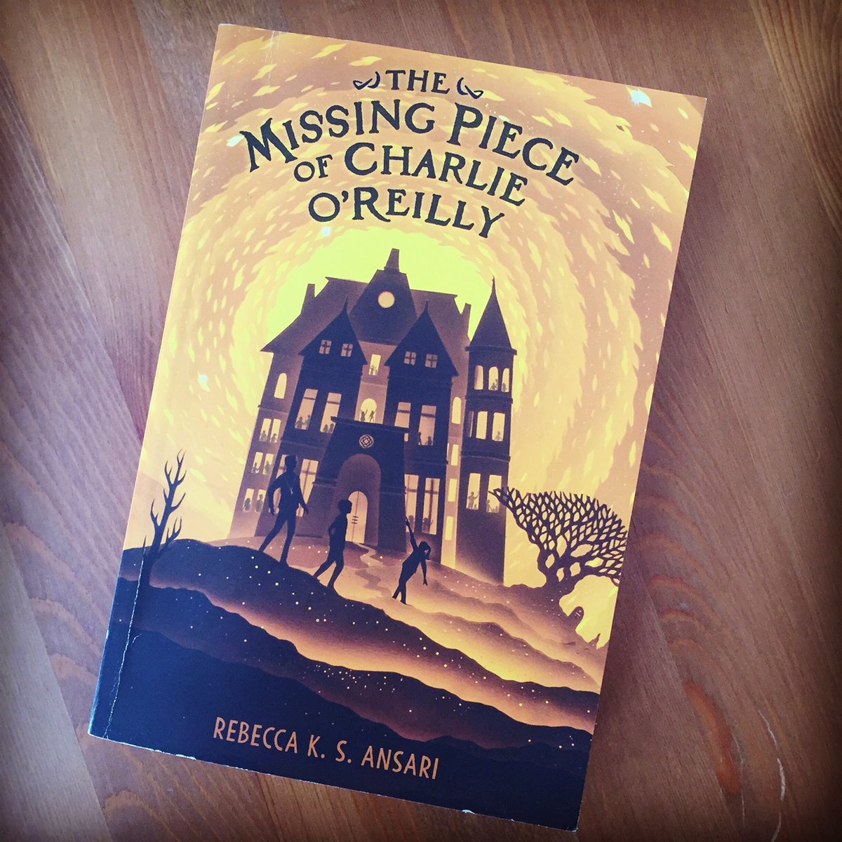 Looking for a great read for #MiddleGradeMarch? I highly recommend @rebeccaksansari's beautifully written The Missing Piece of Charlie O’Reilly!

#MiddleGradeMonday #WhatToReadNext