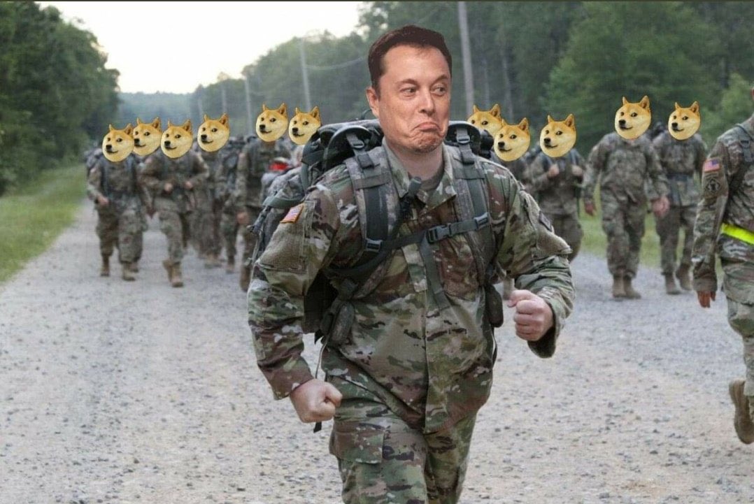 azarnahad's tweet image. @elonmusk is best super hero ❤️
#dogearmy waiting for order, commander 😁