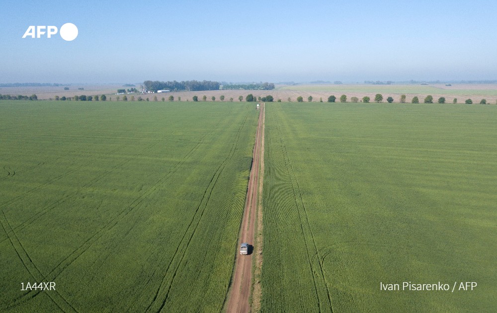 Argentina, principal proveedor mundial de harina y aceite de soja, suspendió las exportaciones de estos productos, los principales de su canasta exportadora, en medio de la escalada de precios en el mercado internacional #AFP
