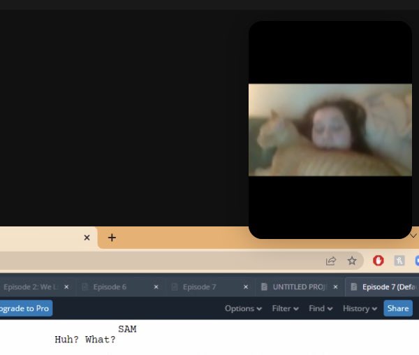 alparkdave's tweet image. Working on the script and @unlaikely suddenly gets attacked 😺 #writinglife