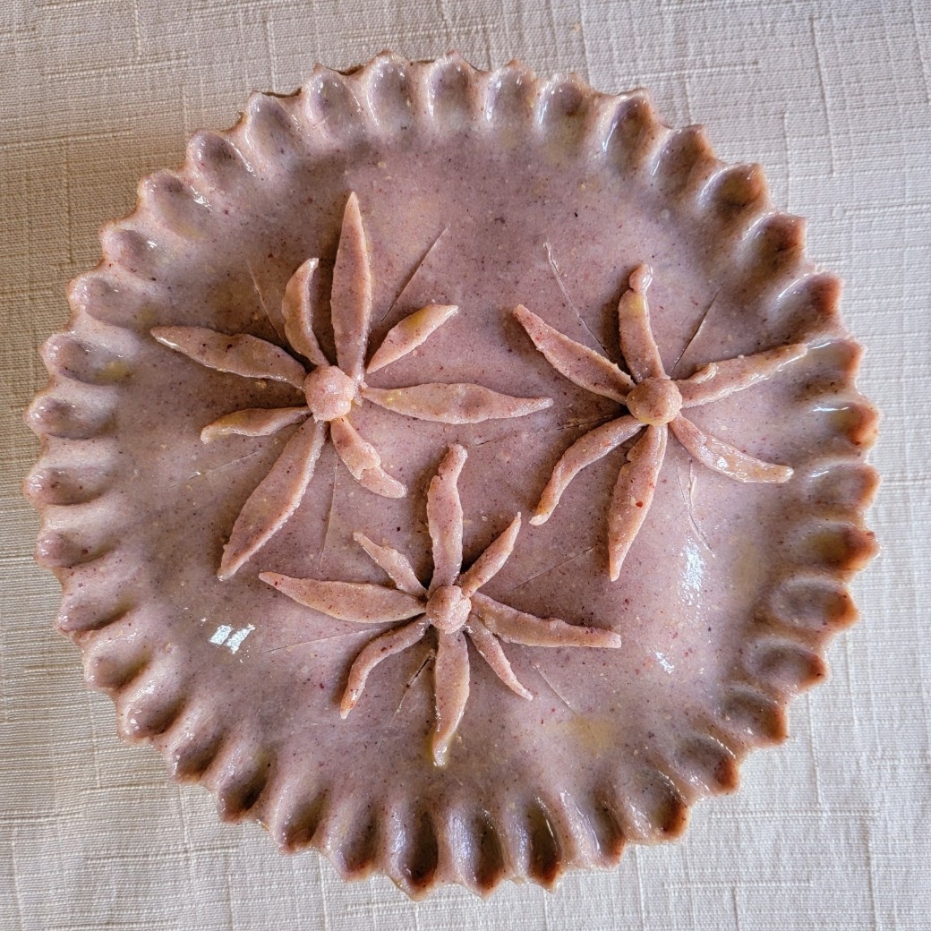 breadtopia's tweet photo. Pi day with a fresh-milled Purple Dzitbacal corn crust 🥧🌽💜 because corn, blueberries, and pie all together sounds really good. Recipe is in our forum under Reader Recipes.
#piday2022 #piday #pie #314 #blueberrypie #heirloomcorn #maize #maizemorado #purplecorn #breadtopia https://t.co/WkvCMdEWkz