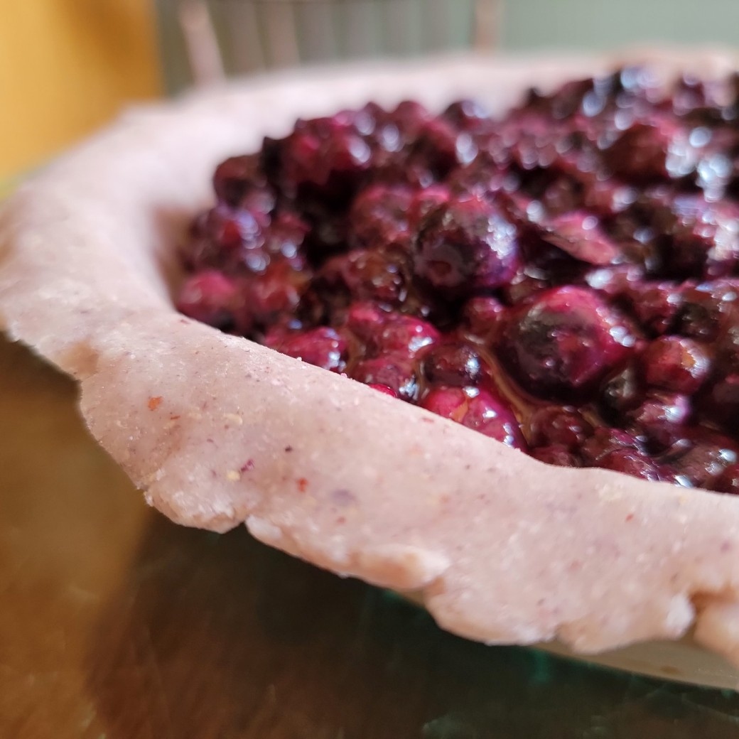 breadtopia's tweet photo. Pi day with a fresh-milled Purple Dzitbacal corn crust 🥧🌽💜 because corn, blueberries, and pie all together sounds really good. Recipe is in our forum under Reader Recipes.
#piday2022 #piday #pie #314 #blueberrypie #heirloomcorn #maize #maizemorado #purplecorn #breadtopia https://t.co/WkvCMdEWkz