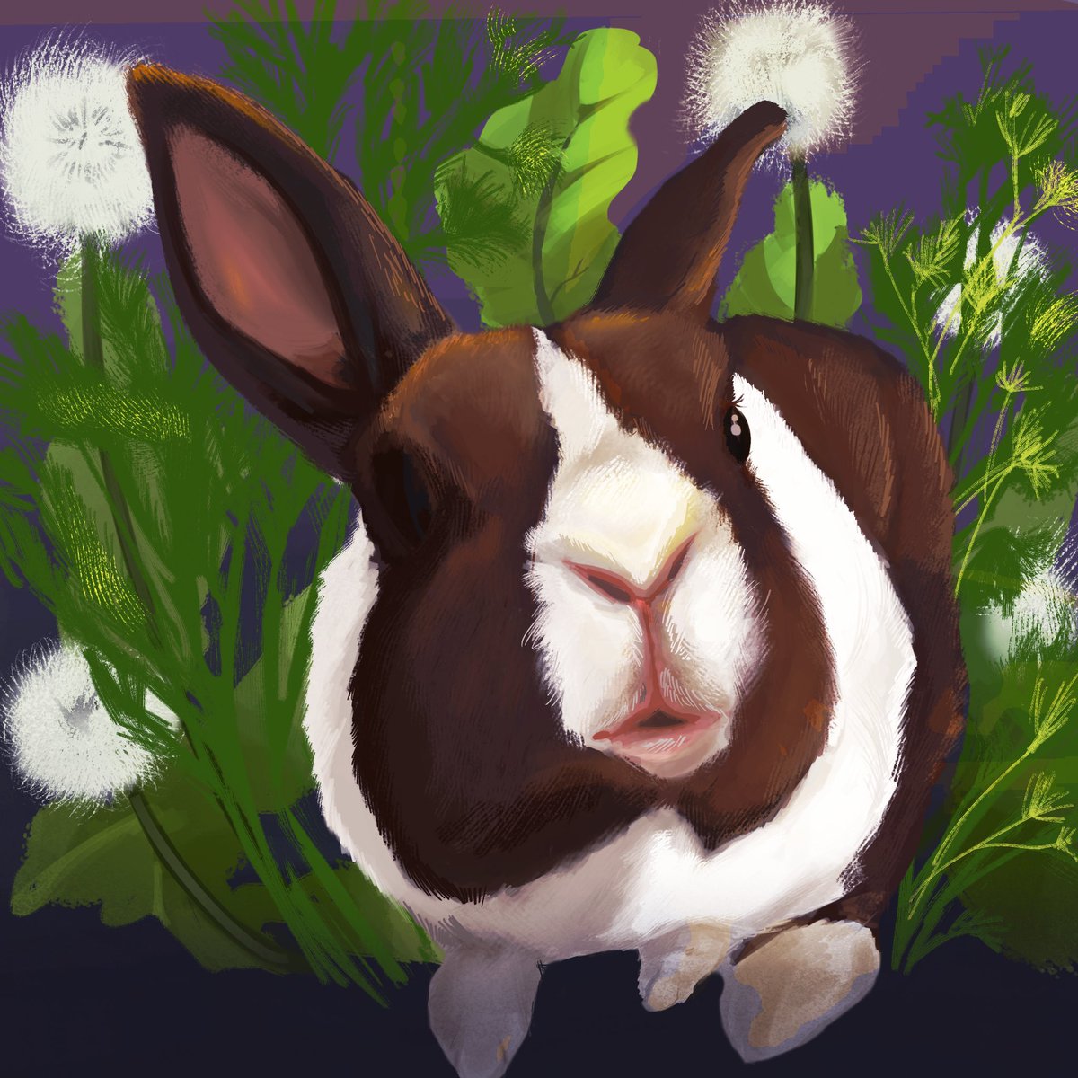 himedanshi harry du bois tweet media