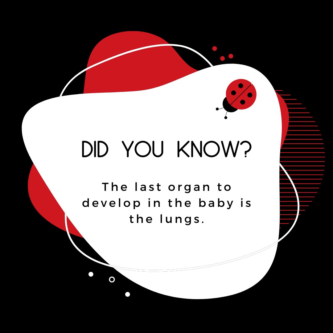 kinderwagon's tweet photo. Hey mamas!

 Did you know about this? Be part of #kinderwagon community and leave a comment below!

Out and about with more than one child?

 Kinderwagon is your GO TO source for strolling with TWO!

• Shop NOW on our website! https://t.co/yYPAbRDgMv https://t.co/fUsSHX4c2N