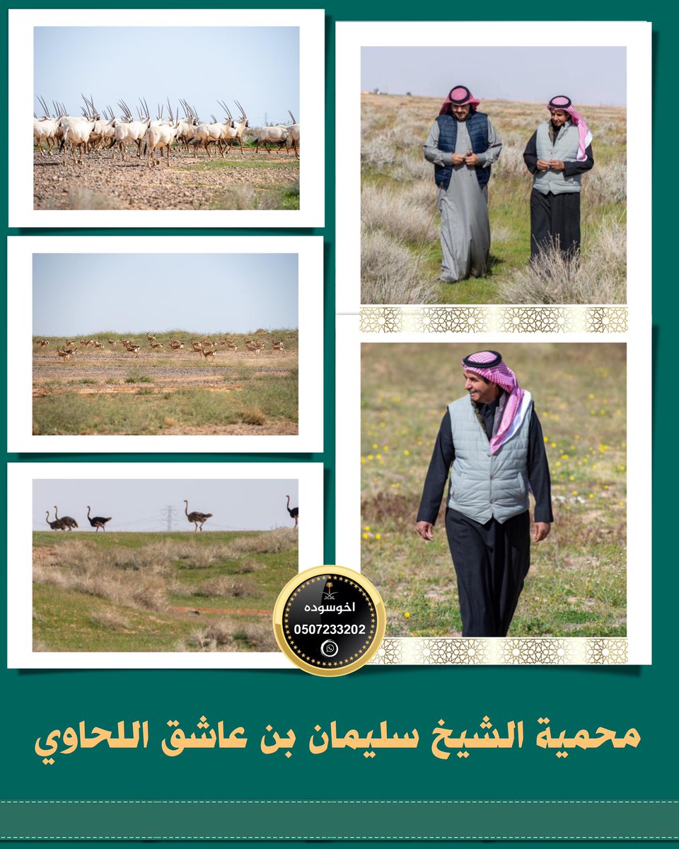 محمية الشيخ سليمان بن عاشق اللحاوي . #اخوسوده