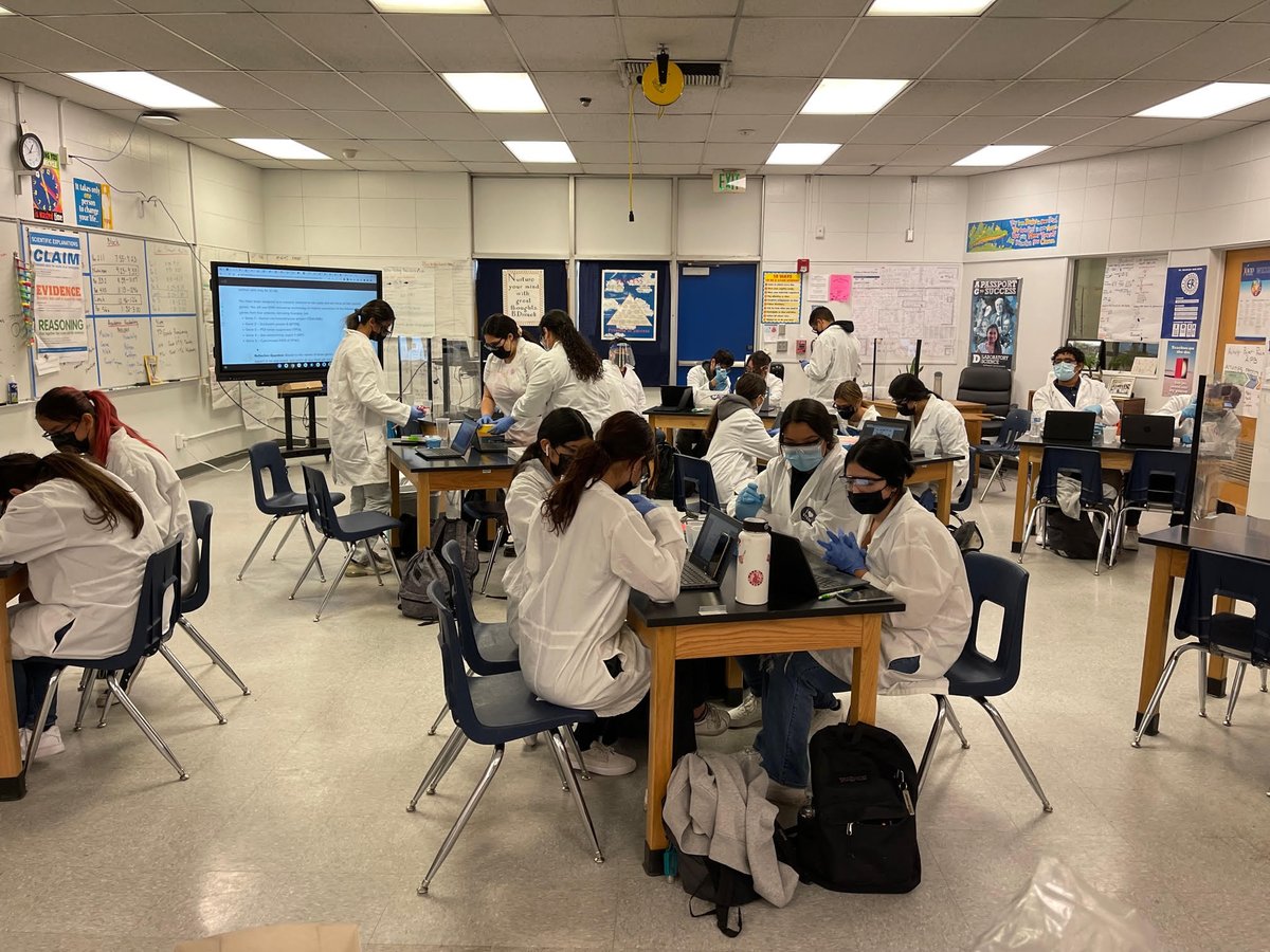 ErhsPltw's tweet photo. PLTW Biomed Juniors use their technical lab skills to determine specific genes that can lead to cancerous cells. @ElRanchoHS https://t.co/YIueb3aMdV