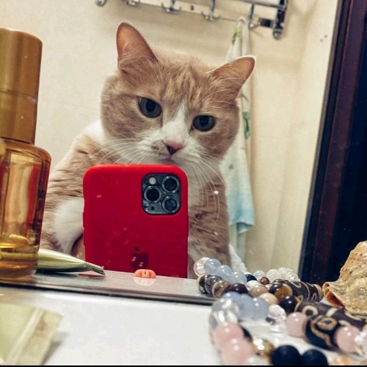 sergiomitchell2's tweet photo. #NewProfilePic https://t.co/zCPSDP1peK