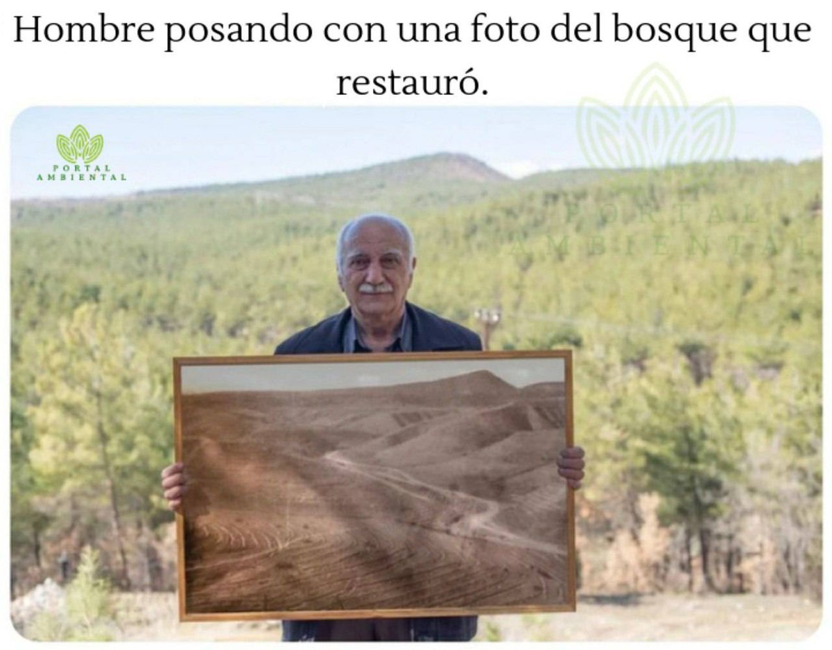 MioPlanet's tweet image. #bosque #restaurado