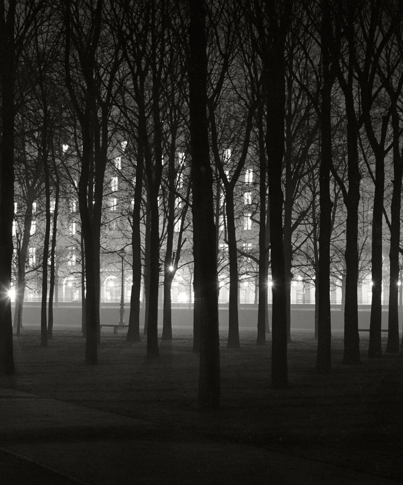 carmedonnafugat's tweet photo. Again... 

Jardin des Tuileries 
with a view of Rue de Rivoli at Night

Herbert List  Paris 1936 https://t.co/L0oG2uGZFU