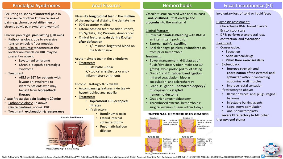 🔥🔥The Emoroid Digest🔥🔥 Seemingly benign disorders, but good management is critical for patients’ quality of life! Check out Dr Cynthia Tran’s review of the @AmCollegeGastro guidelines for benign anorectal disorders! ➡️ Definitions ✅ Evaluation algorithm 😃 Treatment