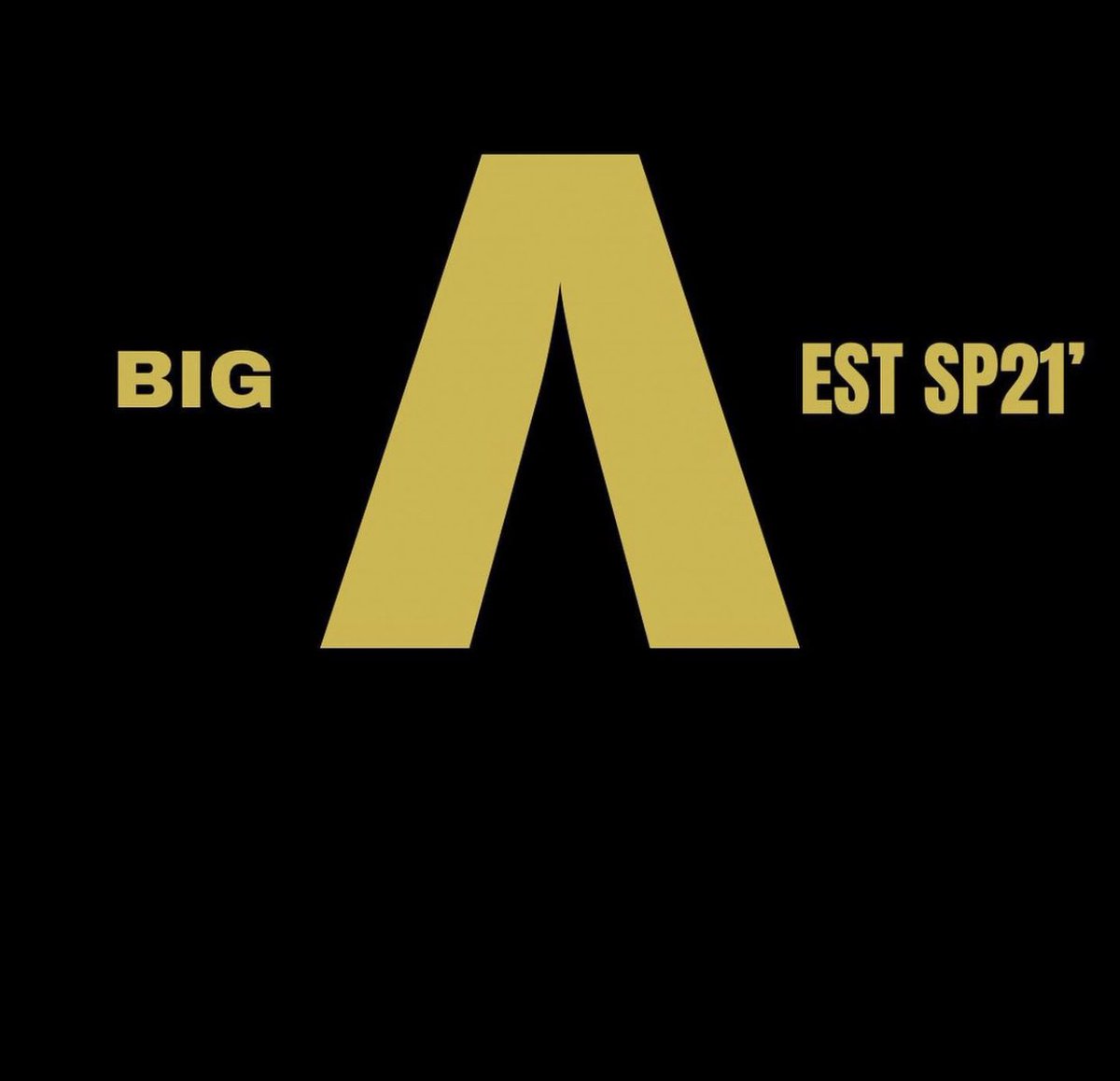 MainframeGuyBS's tweet image. 1 yr down ♾ tew go.  #AlphaVersary ❄️💎🤙🏾#AfyaSaba #BigΛ #ΑΦΑ #AlphaPhiAlpha @MightyMAAC