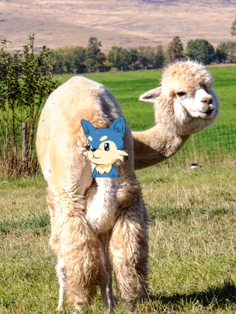 stubseedoteth's tweet photo. @NFTLlama It's time...
 to give birth to a new collab: @wulfznft 

#wulfz #wulfznft #nft https://t.co/t5V7b0b6I0