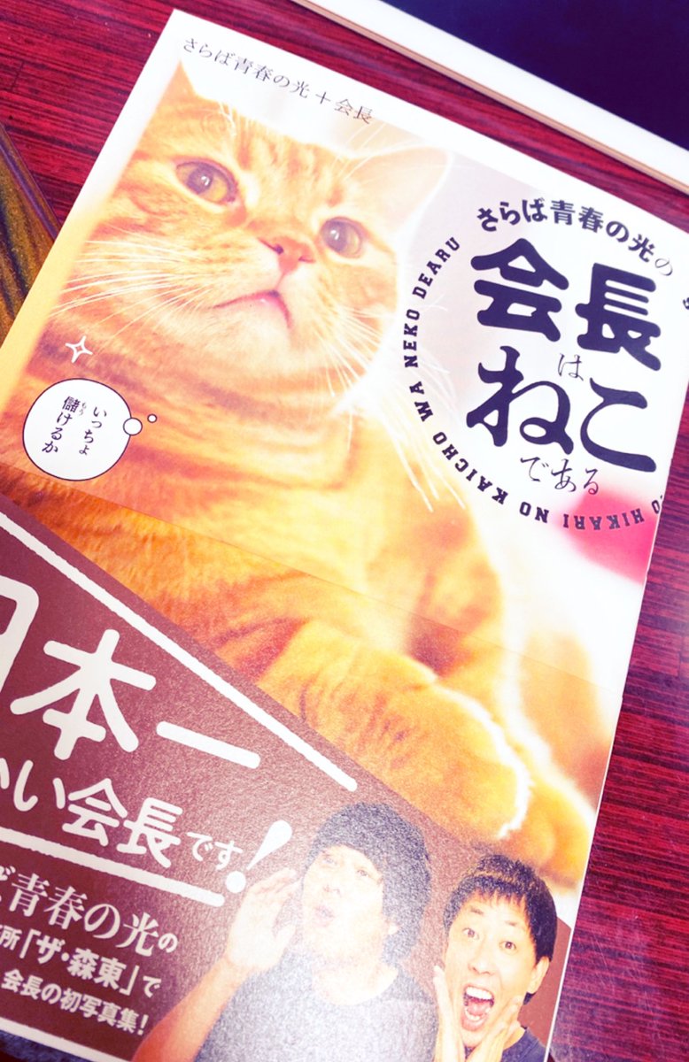 会長可愛くて買ってもた🐱 